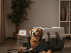 How to Air Travel with a Dog: The Complete Guide Air Travel with a Dog