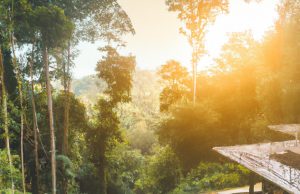 Eco-Luxe Travel: Sustainable Luxury Around the World