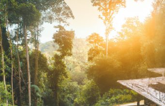 Eco-Luxe Travel: Sustainable Luxury Around the World