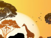 A Comprehensive Guide to Ethical Wildlife Safaris Around the World