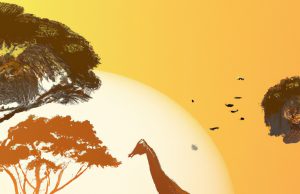 A Comprehensive Guide to Ethical Wildlife Safaris Around the World