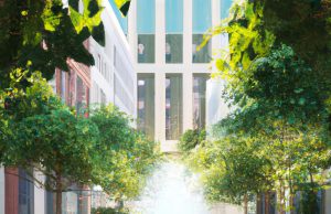 Urban Oasis Guide: Serene Spots in Busy Cities