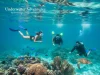 Underwater Adventures: Top Snorkeling & Diving Destinations