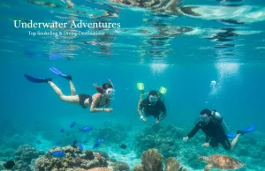 Underwater Adventures: Top Snorkeling & Diving Destinations