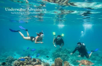 Underwater Adventures: Top Snorkeling & Diving Destinations
