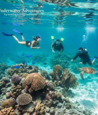 Underwater Adventures: Top Snorkeling & Diving Destinations underwater adventures